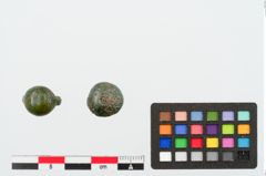 Foto von Bronzeknopf (NHMW-PRAE-025044)